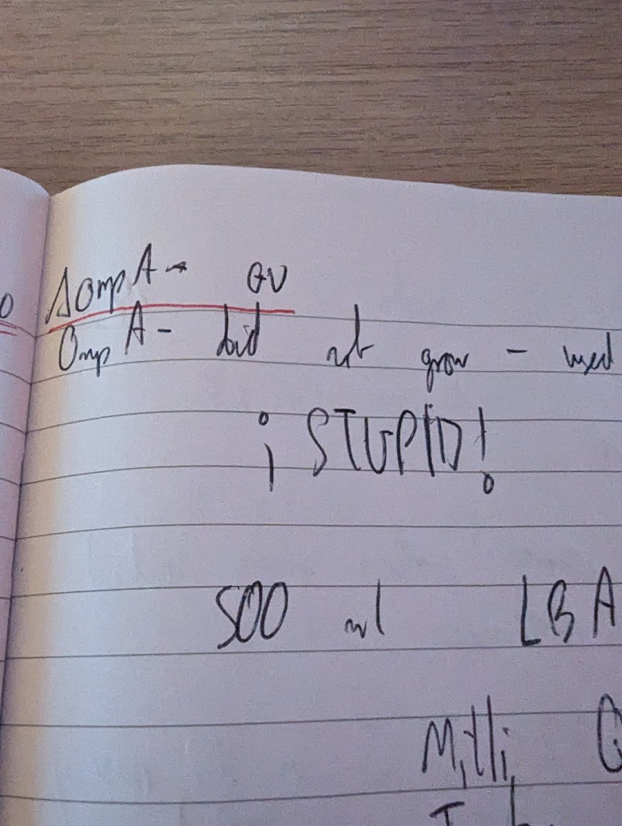 Going through the old lab books before  finally handing them in