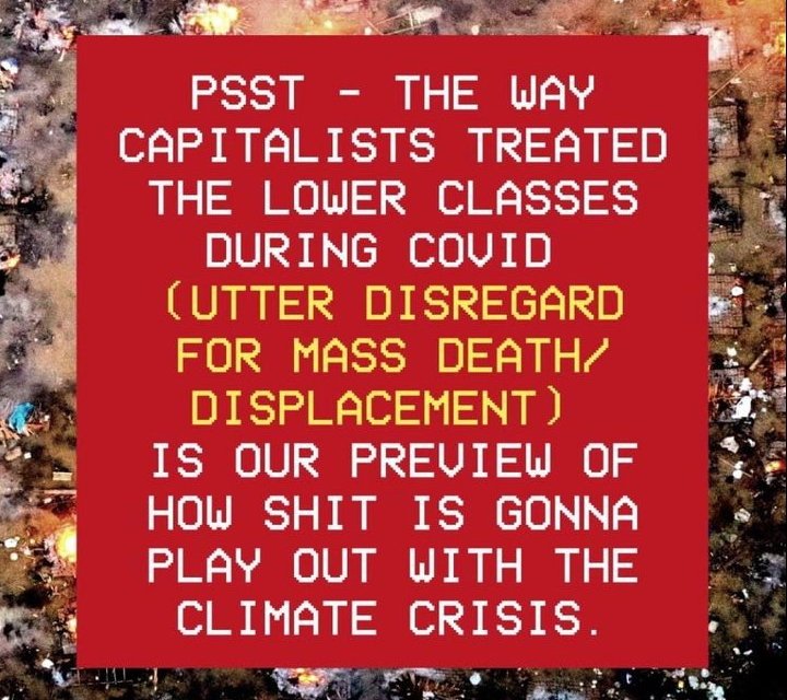 tobosbunny's tweet image. 