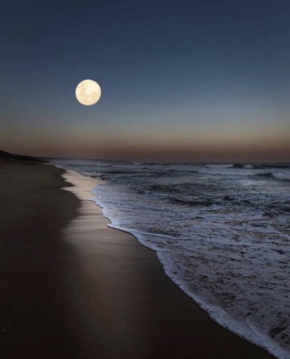 RT @themoonlovepic: Full Moon and Sea. https://t.co/tRYYyIRTdz