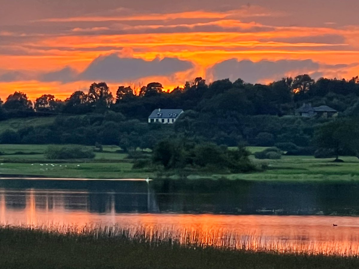 Even on a seemingly dull day and at 10pm, the sun summoned its power to suffuse the sky with a final blast of vibrant colour before it set for the day. 😍 
#sunset #200daysofwalking 
#Ballyalla #Ennis #countyclare #ThePhotoHour