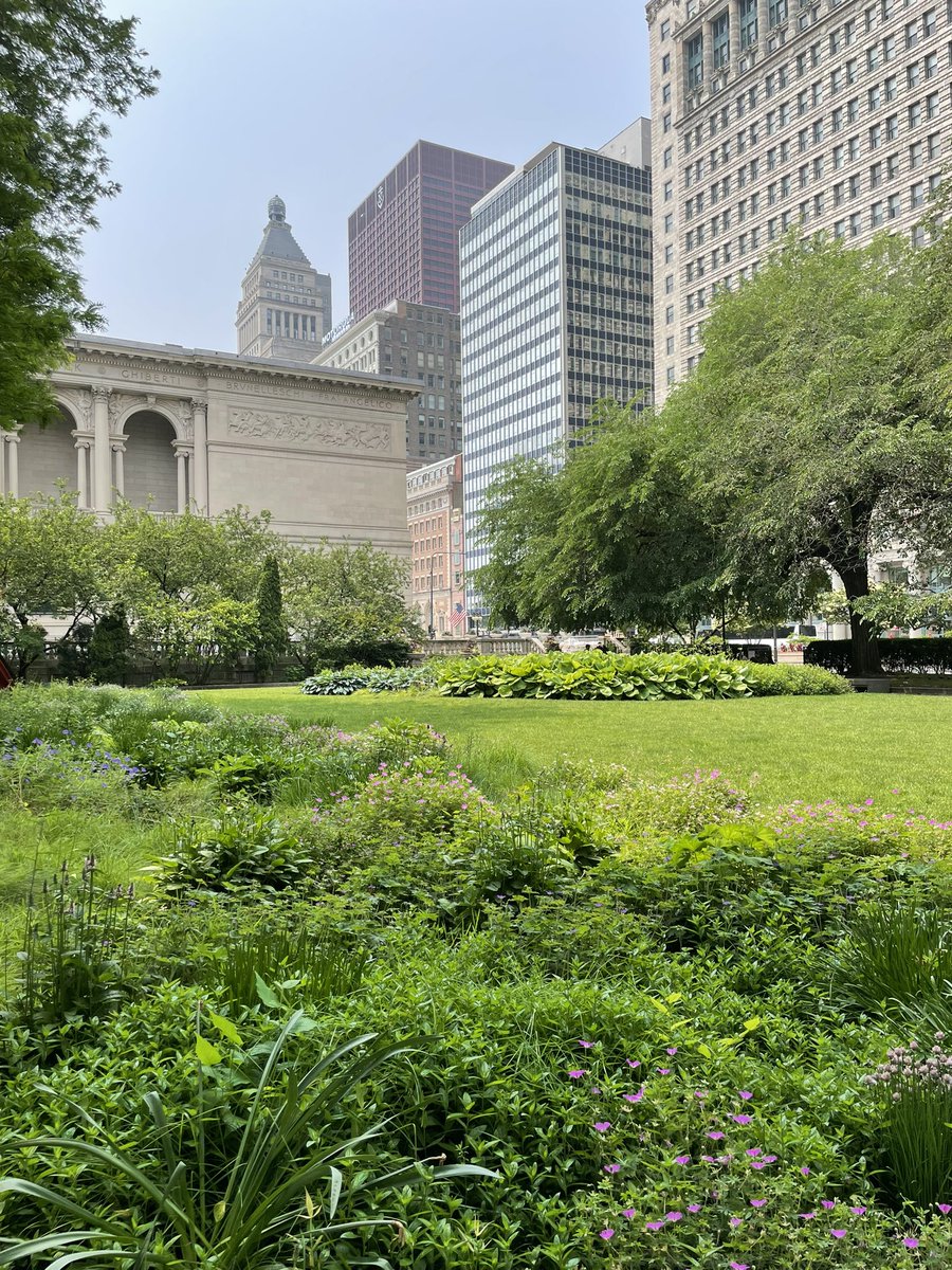 Chicago in the summer is definitely special…🥰