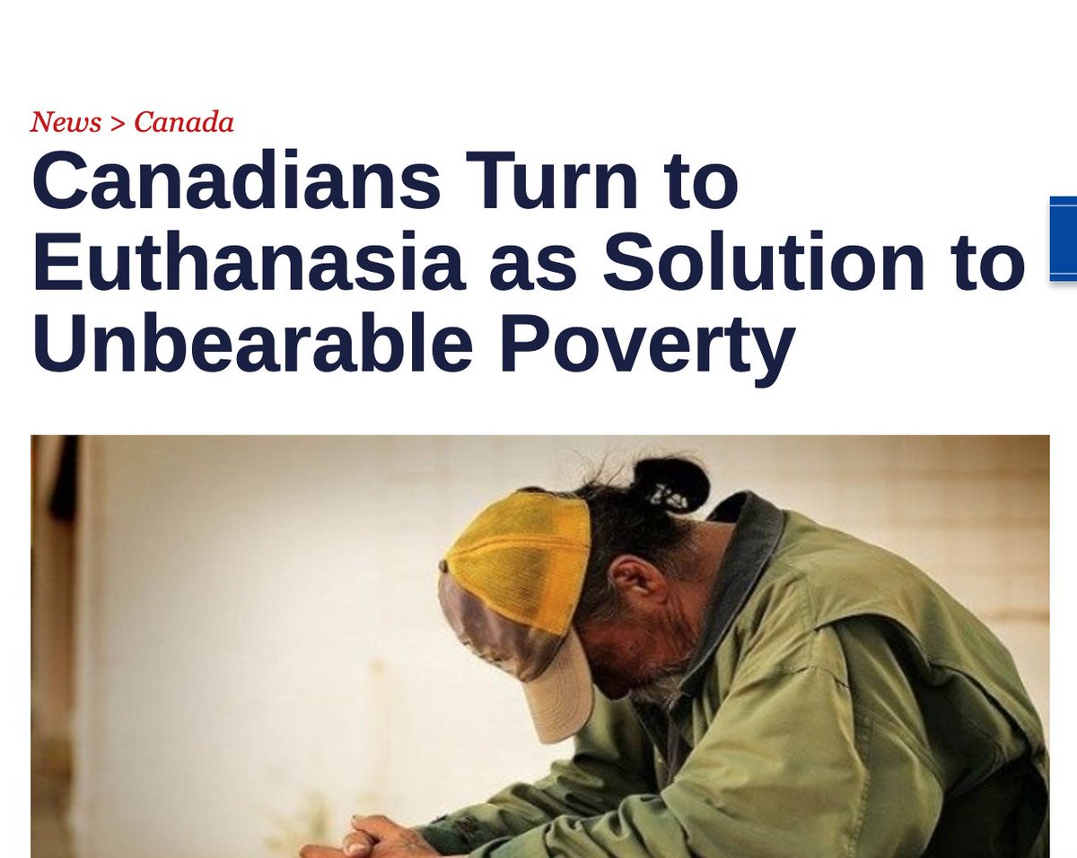 Alan MacLeod tweet media