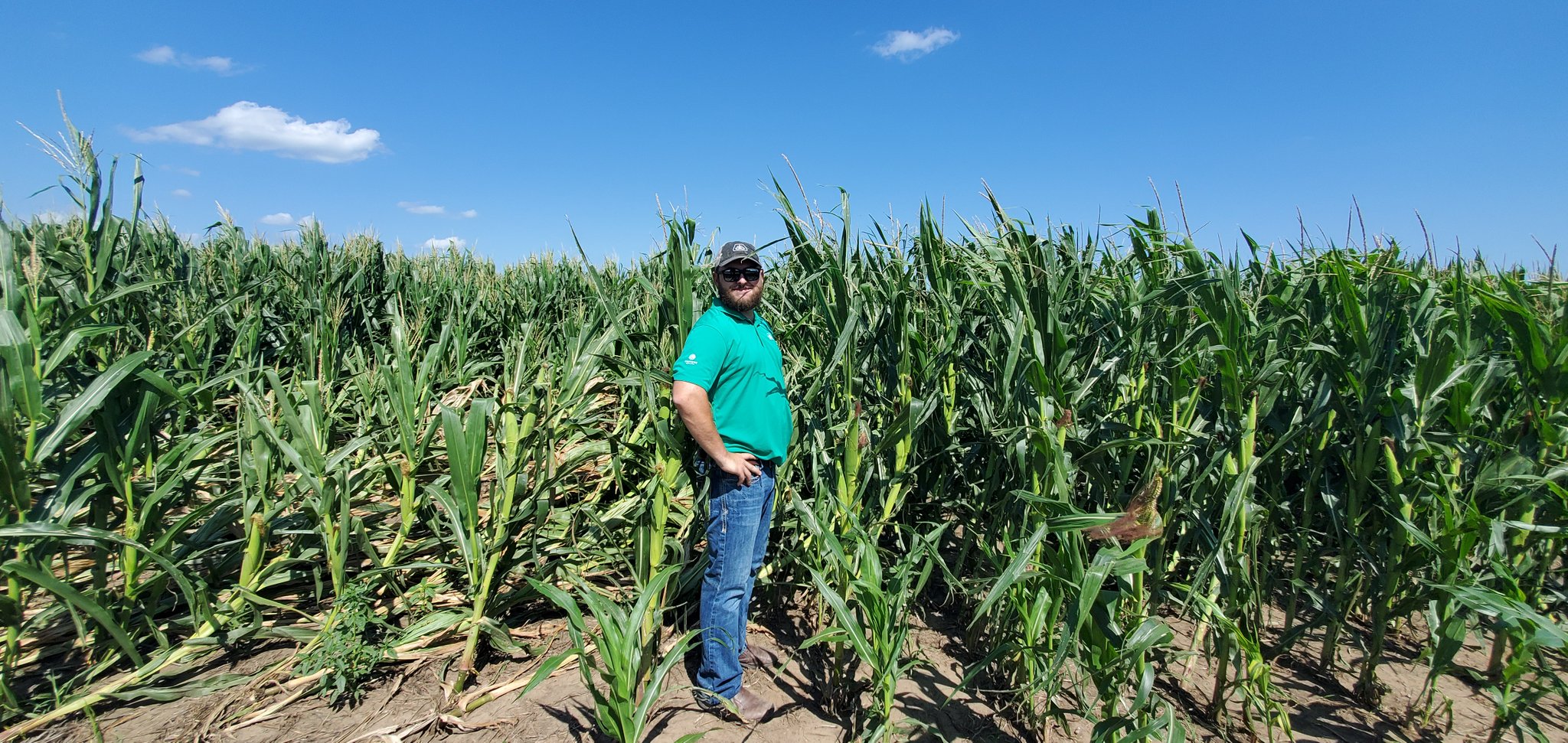Greg Carpenter on Twitter "8 rows Brand X behind crank1n3 8 rows