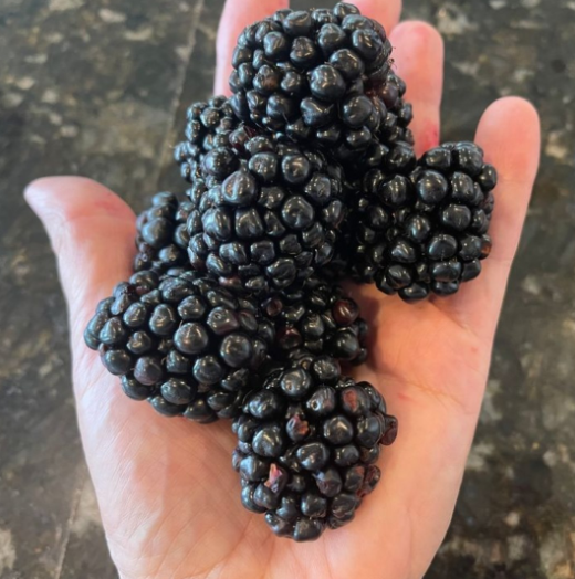 Cregg 🍦 tweet media