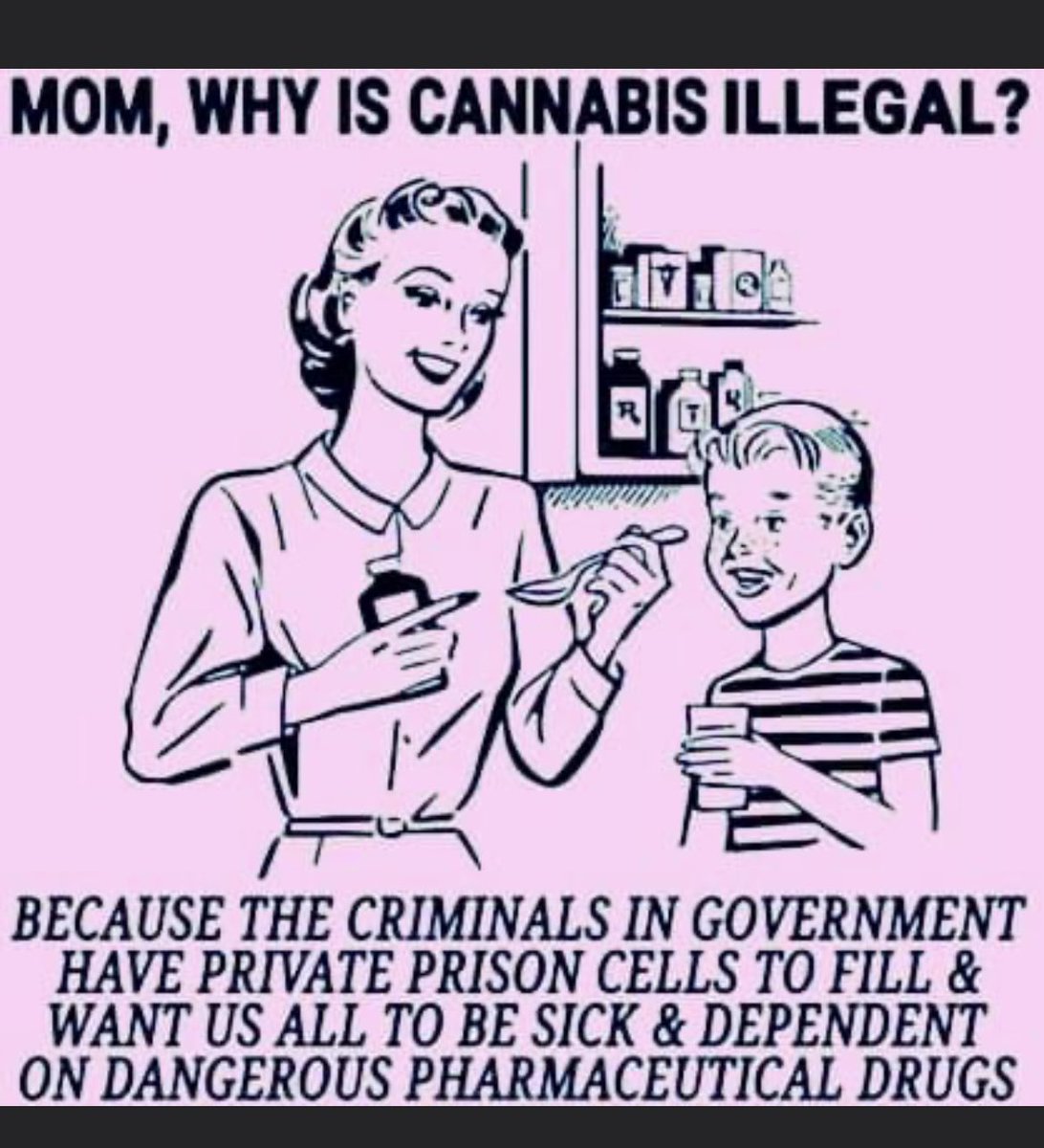 Sad but true #CannabisCommunity #cannabisindustry #StonerFam #MedicalCannabis #cannawebportal