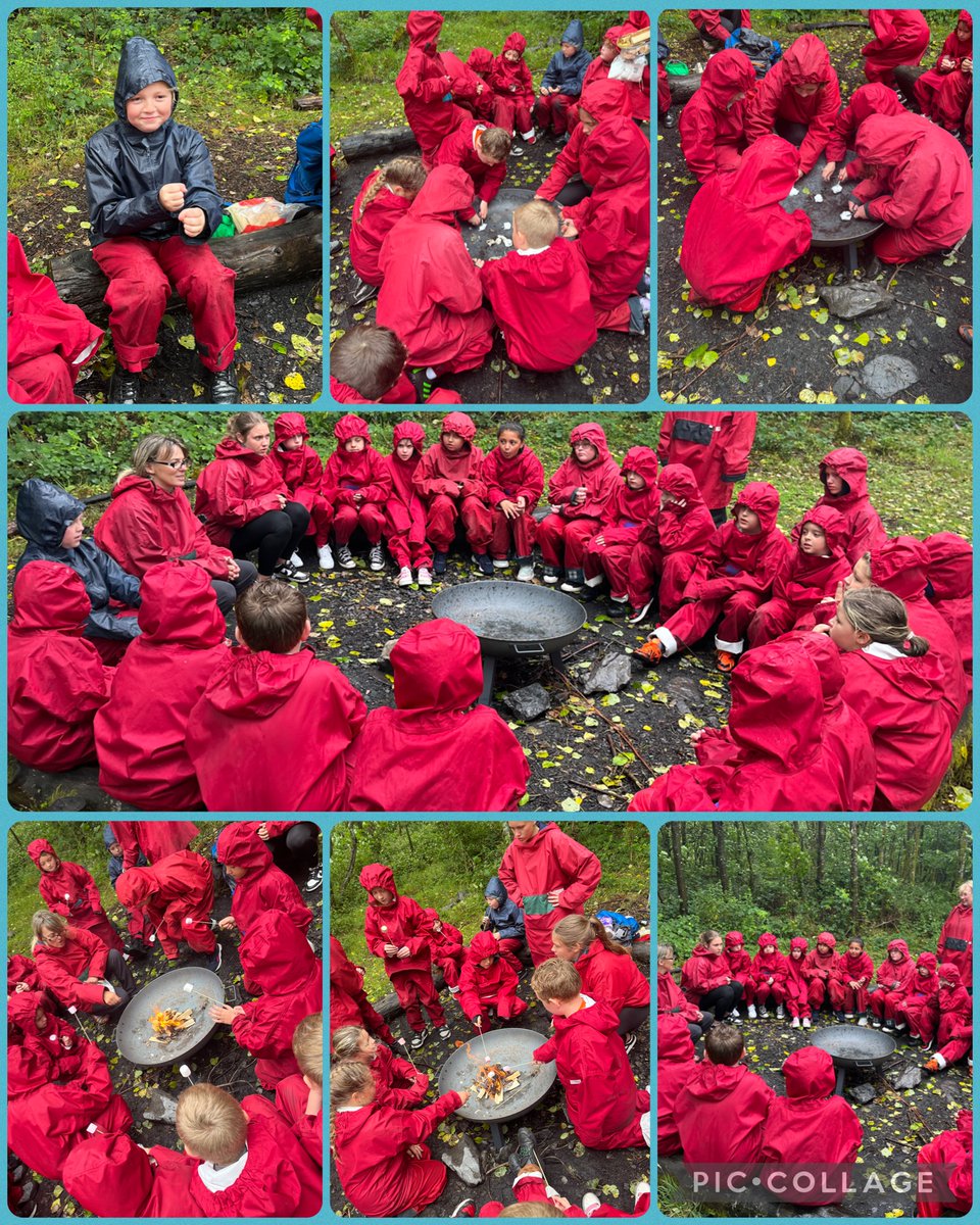 Miss Whitehouse Dosbarth Glas tweet media