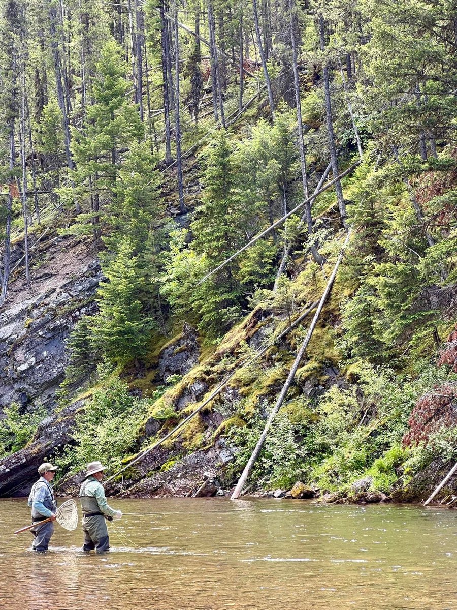 We're now well into summer — We hope you've been getting plenty of time on the water. Where has everyone been fishing this summer?!

Photo from Scott Pro Chris McCreedy 
#flyfishing #flyfish #scottflyrods