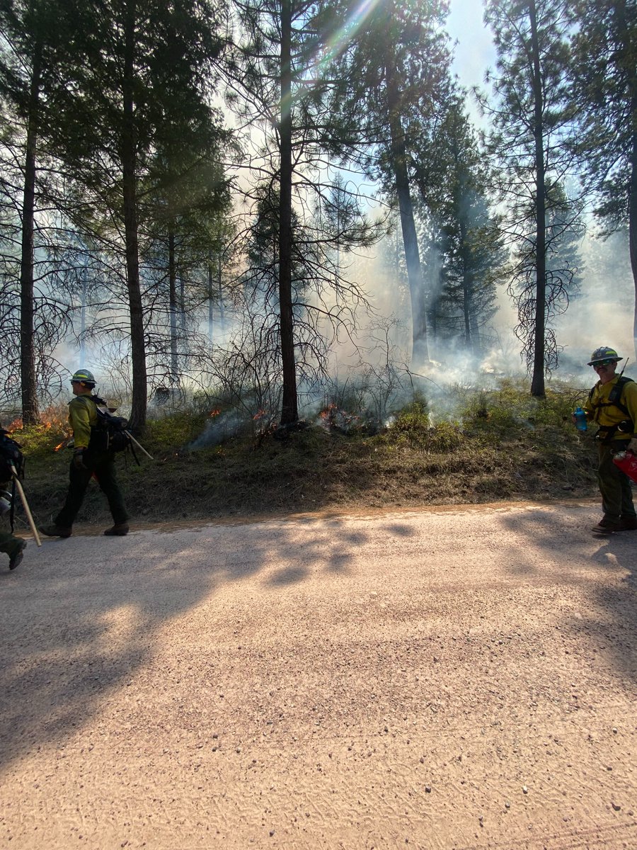 czechglobe_offi's tweet photo. Přírodní požáry jsou přirozenou součástí  ekosystémů  v oblasti Lolo National Forest v Montaně a řízené vypalování se zde používá jako nástroj pro snížení  možnosti vzniku nekontrolovaného požáru. Řízeného vypalování se zúčastnily kolegyně věnující se výzkumu přírodních požárů. https://t.co/qQZtPoMcbU