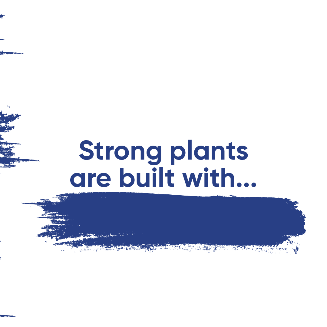 TimacAgroUSA's tweet image. Strong houses are built with BLUEprints. Strong plants are built with...

#TimacAgroUSA #PrecisionFarming #SoilProtection #CropPerformance #SustainableFarming