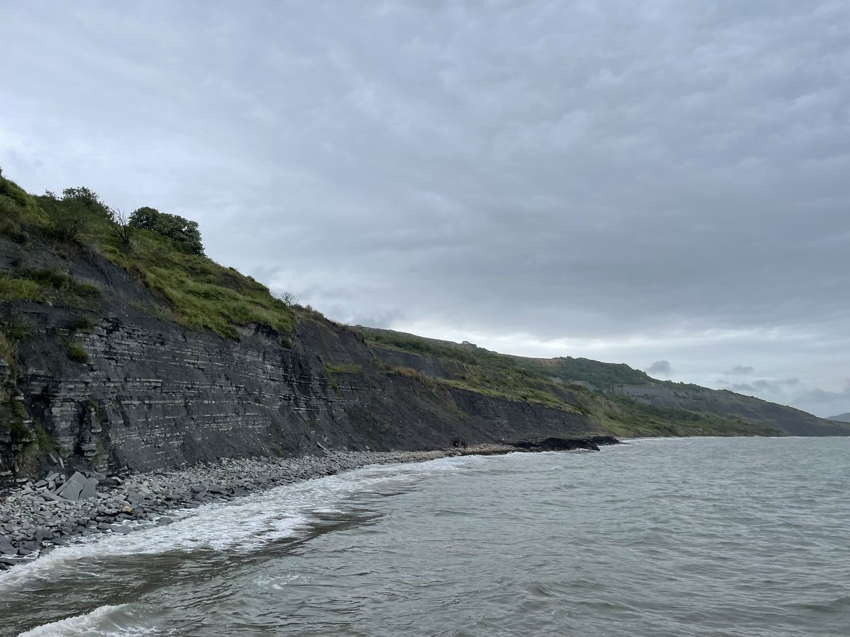 Kate Newby tweet media