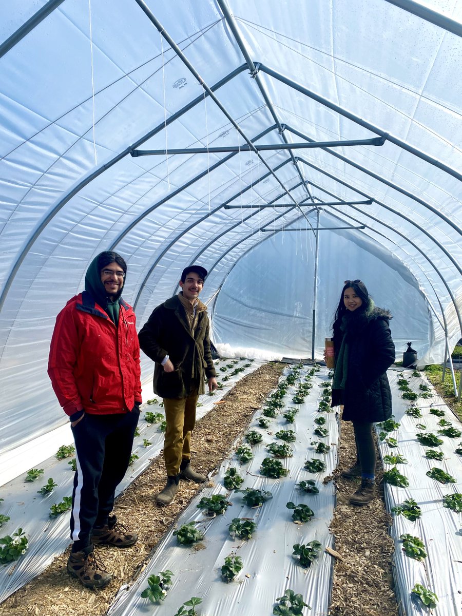 A few weeks ago, we had the HYFC 2023 Farming Fellows on our show to chat about their experience so far and share how they are using this opportunity to enhance our local food system! 🌱 Check out more HERE: indianapublicmedia.org/eartheats/hoos…