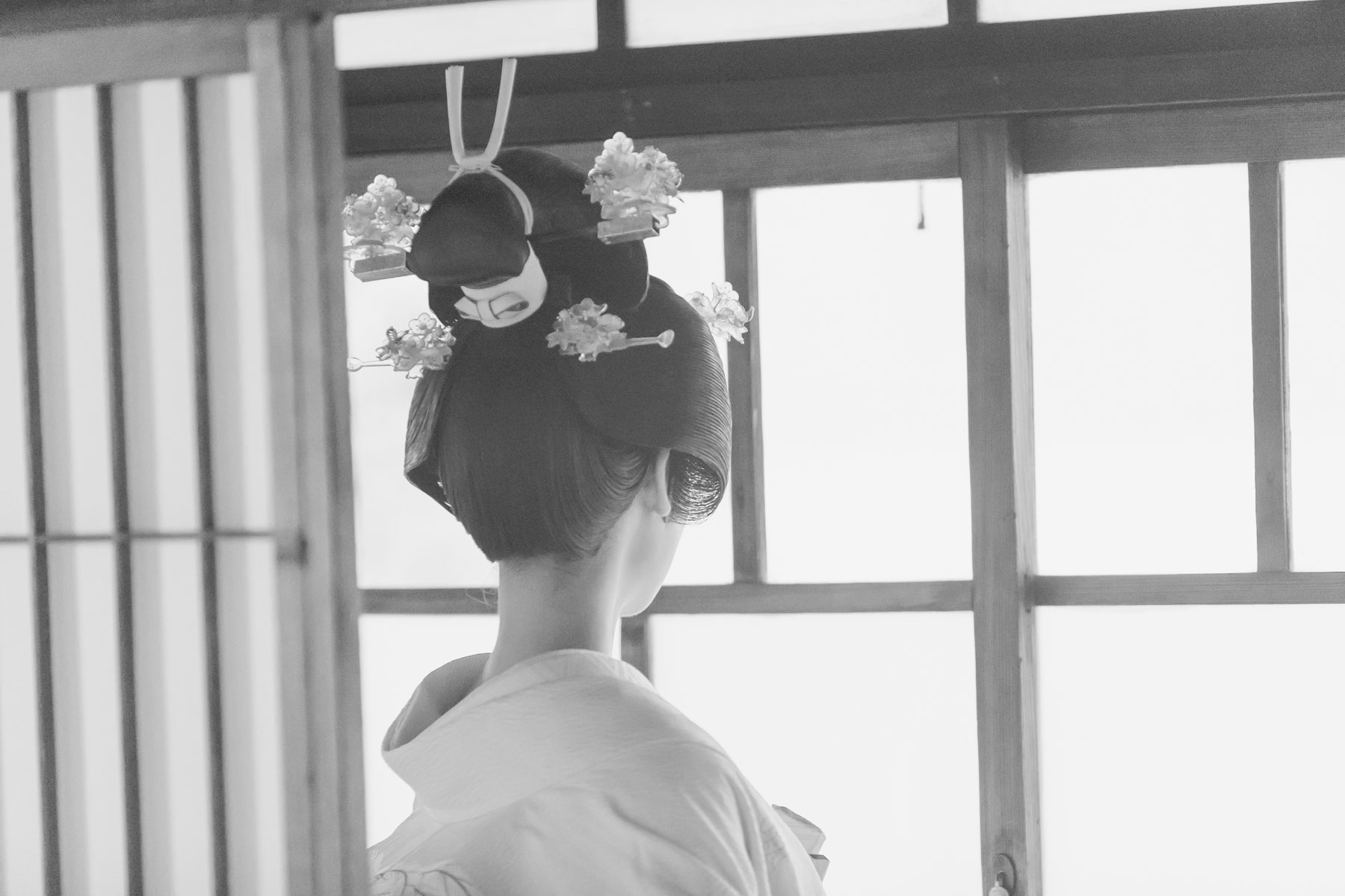 かつらしげもり (@katsura_shige) / X かつらしげもり (@katsura_shige) / X