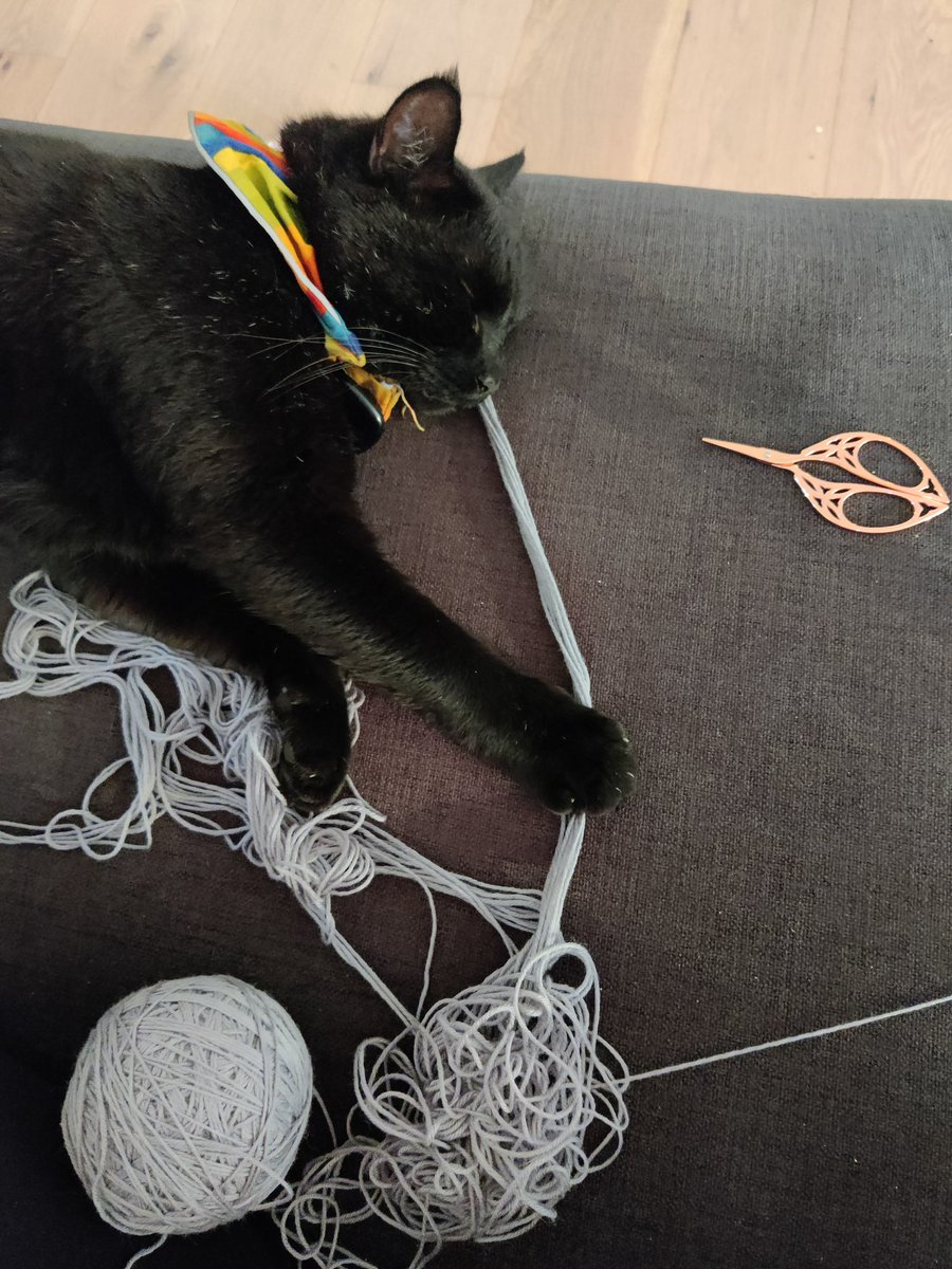 Hefði einhver annar staður í húsinu komið til greina fyrir blund?