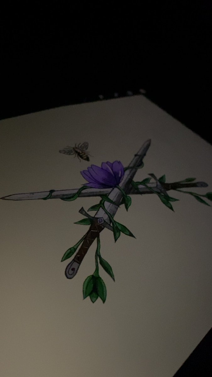 Colour complete time to start designing some packaging this thing will be sat on