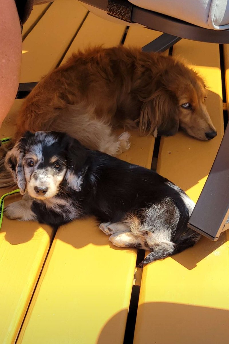 Eric Cardwell tweet media