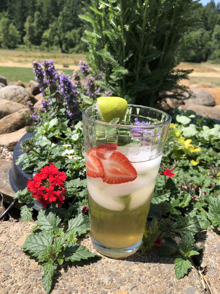 WholeCircleFarm's tweet photo. Refreshing cold minty tea on a hot summers day 🧊🌿🍋
THIS is how you relax 😎
#healwithhemp #hemp #certifiedorganic #delicious #hemptea #wholecirclefarms https://t.co/2RAg8fpIhy