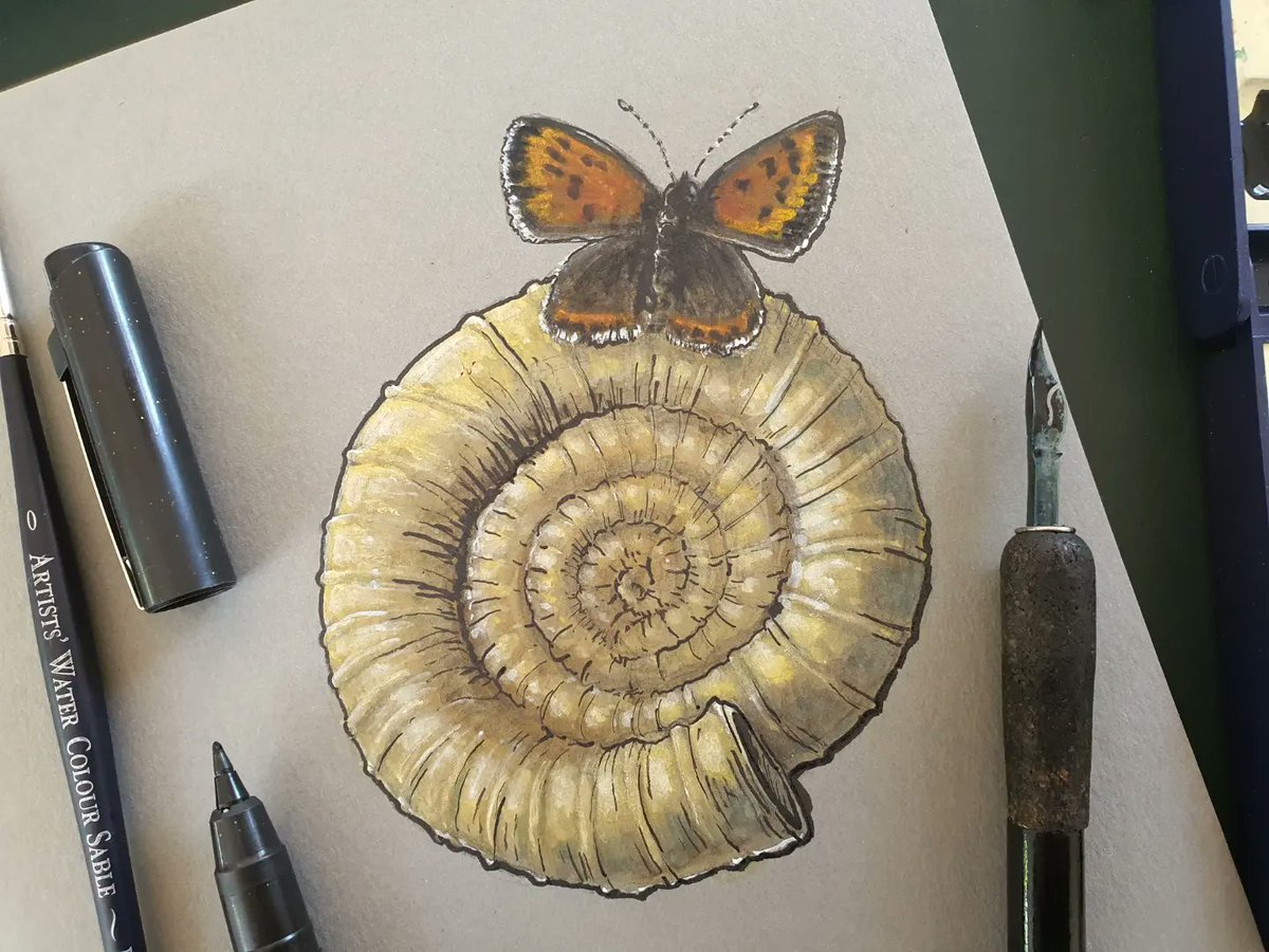 #vacation #ferie #summer2023 #sommer23😎☀️ #drawing #tegning #painting #maleri #watercolor #vandfarver #aquarelle #akvarel #gouache #ink #blæk

explainways.com