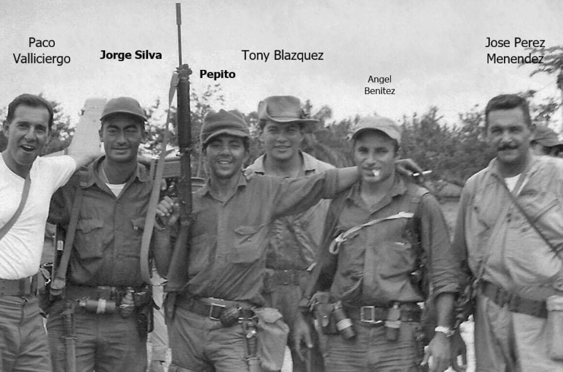 MiceFightingGorillas (@micevsgorillas) on Twitter photo 