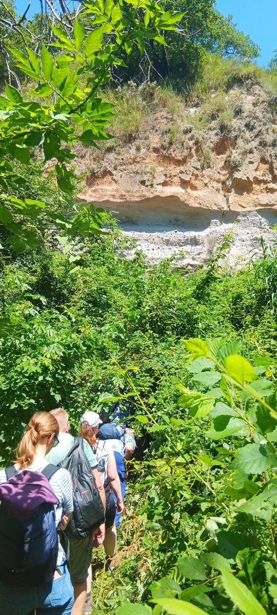 TsunamiSand's tweet image. #fieldtrip day2(1):  more #tuff, #pyroclasticflow deposits. 
And: #volcanic activity submerses or upliftes the #CampiFlegrei locally. Parts of the Roman sea resort #Baia are now under water. On the glass bottom boat trip marble statues went by like ghosts.
#Napoli #inquaroma2023