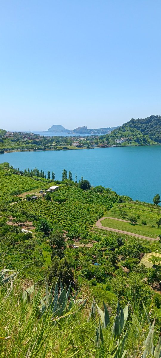 TsunamiSand's tweet image. #fieldtrip day2(1):  more #tuff, #pyroclasticflow deposits. 
And: #volcanic activity submerses or upliftes the #CampiFlegrei locally. Parts of the Roman sea resort #Baia are now under water. On the glass bottom boat trip marble statues went by like ghosts.
#Napoli #inquaroma2023