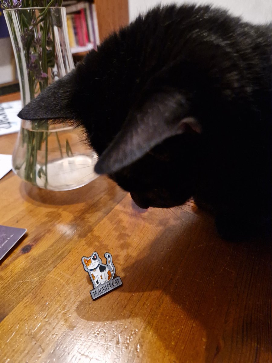 rjaczel's tweet image. My Magifi Cat pin came! @QuireMemes #tinyjoys