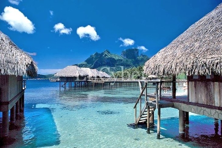 PRCosmos tweet picture