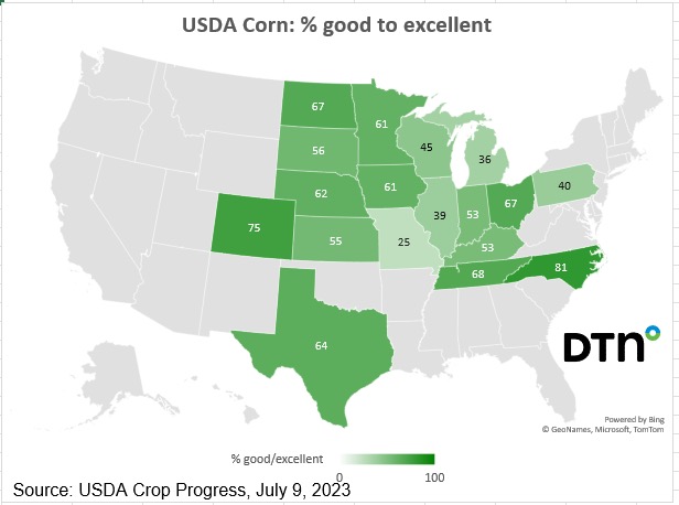 dtnpf's tweet image. USDA #CropProgress charts as of July 9

Find these and more at bit.ly/3pHUNTn