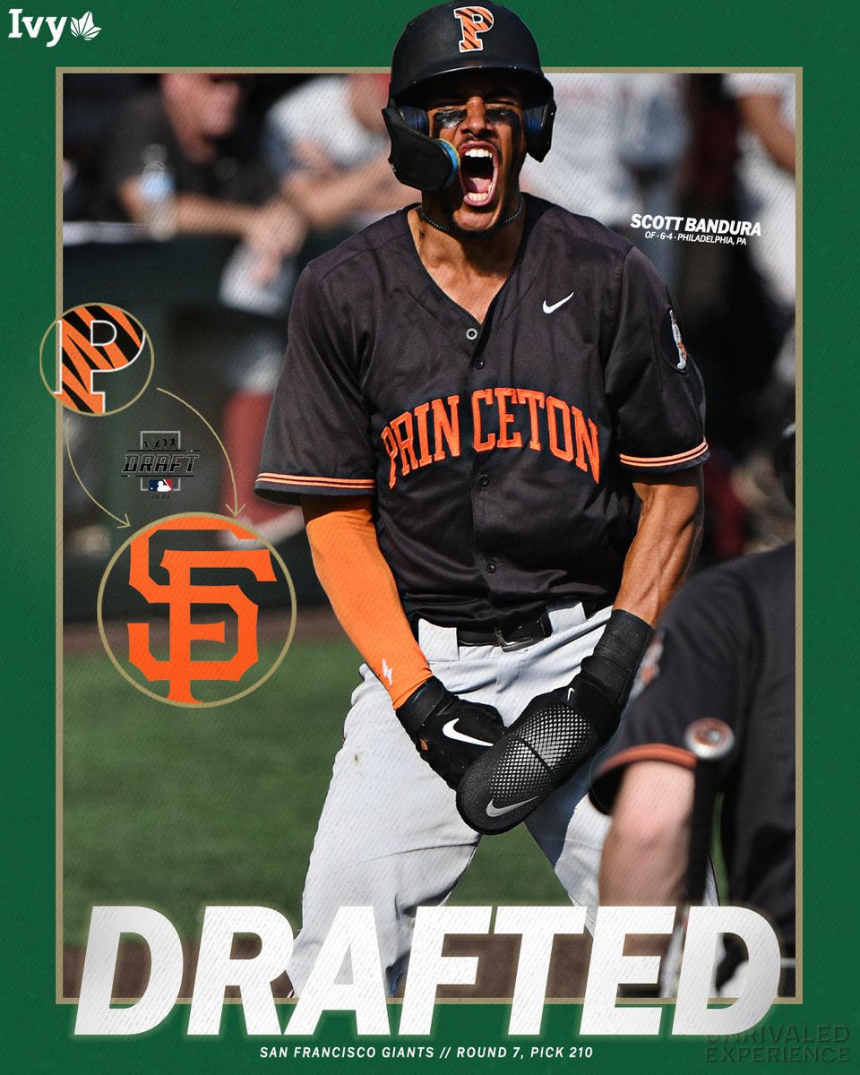 BANDURA IN THE BAY. @PUTigerBaseball OF Scott Bandura was selected by the @SFGiants in the seventh round of the MLB Draft. Congratulations Scott! 🌿⚾️