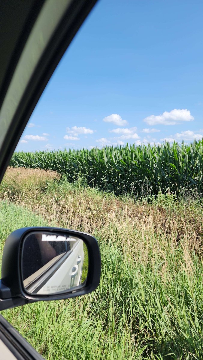 No stream tonight, as I'm stuck in a cornfield for a while. Come by Wednesday for more fun! 
#streamingcommunity #twitchtv