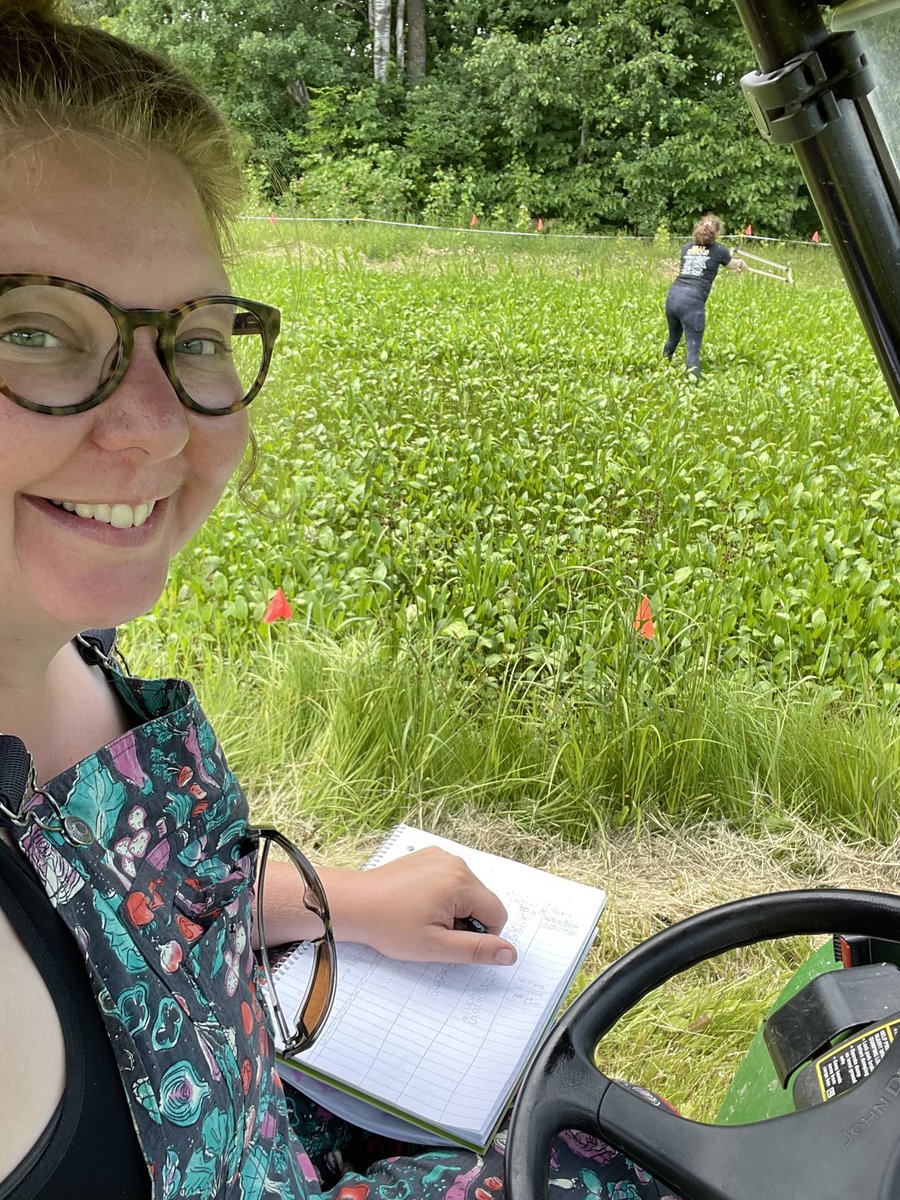 KimballLab's tweet photo. I wish growing crops was as easy as growing weeds 😂 #plantainpain https://t.co/RUWennVfS5