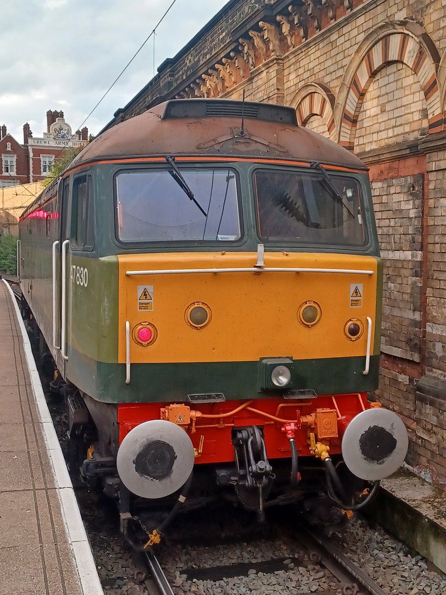 Trainiac Videos (Niki) tweet media