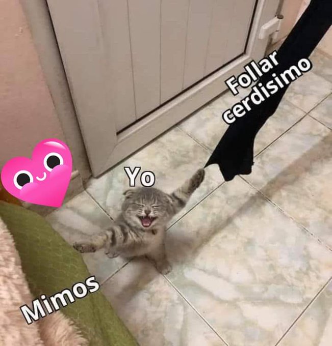 #Candy_Kush  #Smile #funny #enjoylife https://t.co/2WTIA5qPCt<a href="/tag/candy_kush"class="tags">#Candy_Kush</a><a href="/tag/smile"class="tags">#Smile</a><a href="/tag/funny"class="tags">#funny</a><a href="/tag/enjoylife"class="tags">#enjoylife</a>