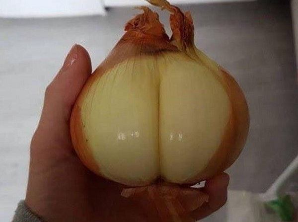 Kidnapped By Wizards tweet media