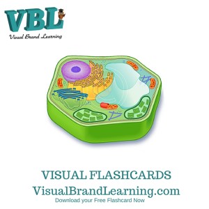visualblearning's tweet photo. How to help English language learners in the classroom https://t.co/KY2cAnGS9B https://t.co/lNDYr398PM