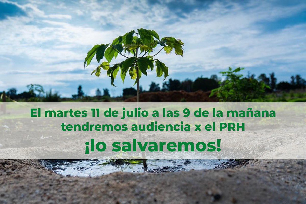 parqueresisten1's tweet photo. ¡La resistencia mañana vuelve a los tribunales!
¿Recuerdan cuando nos desalojaron a punta de arma por plantar arboles? Fue declarado ilegal por jueces federales.
Mañana tendremos audiencia para discutir por qué el parque le pertenece al pueblo, y no a los empresarios corruptos. https://t.co/Il4HouTrAM