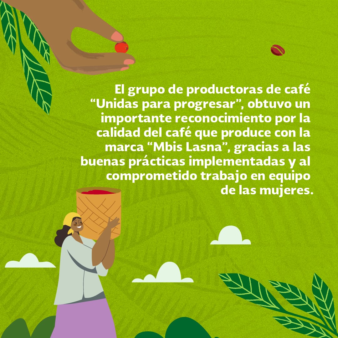 mde_mexico's tweet photo. del grupo, quienes contaron con el apoyo y acompañamiento por parte del equipo técnico del MDE México.
Este es sólo un ejemplo de cómo la implementación de las buenas prácticas y salvaguardas generan un impacto positivo en las comunidades. https://t.co/5icXFZiGZU