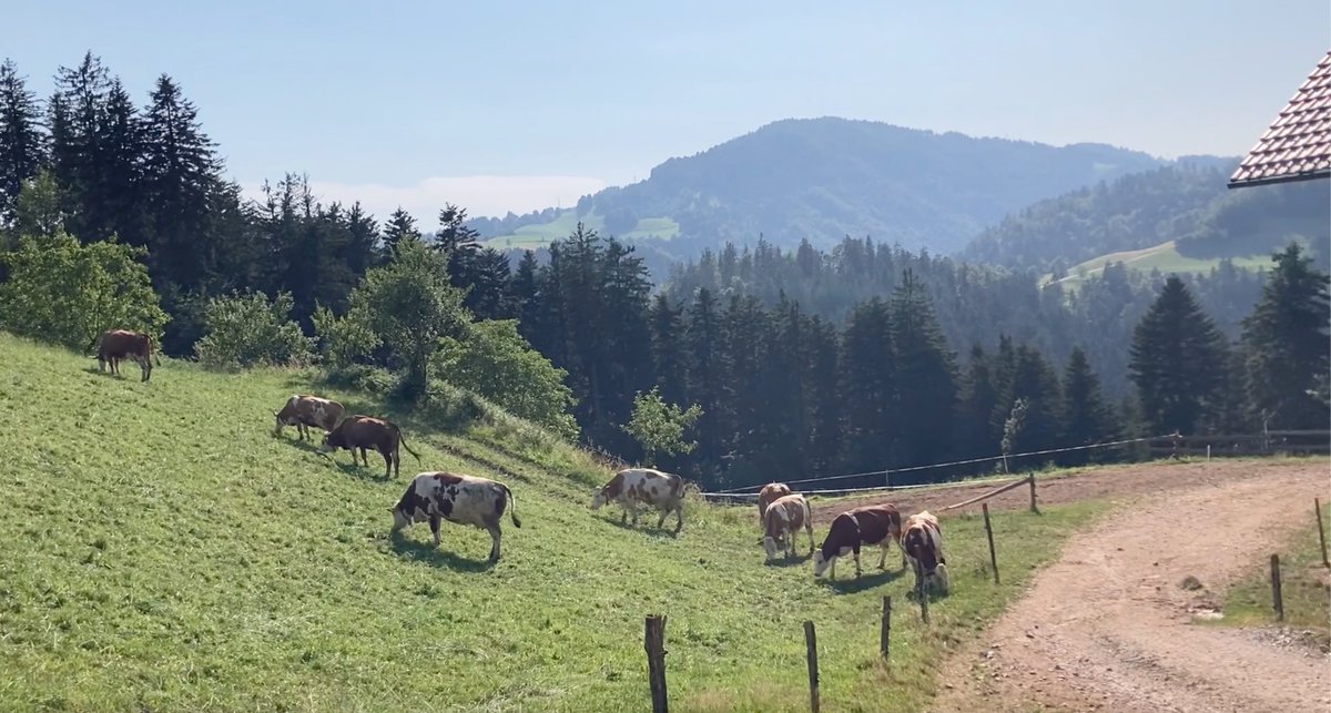 🇪🇺 3rd R4D European Cross-visit in Slovenia 🇸🇮
➡️ Visit of Jakob Dolinar's pilot farm
⛰️ Situated in the mountains at 700 meters above the sea level
💡 Innovation: Processing of own milk and direct selling 🧀🥛