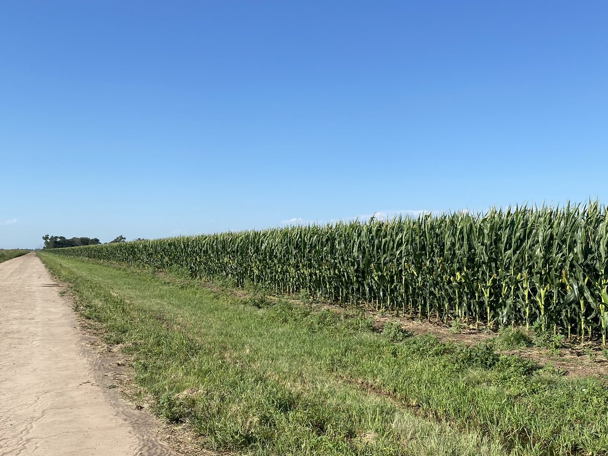 Bodie Kitchel tweet media