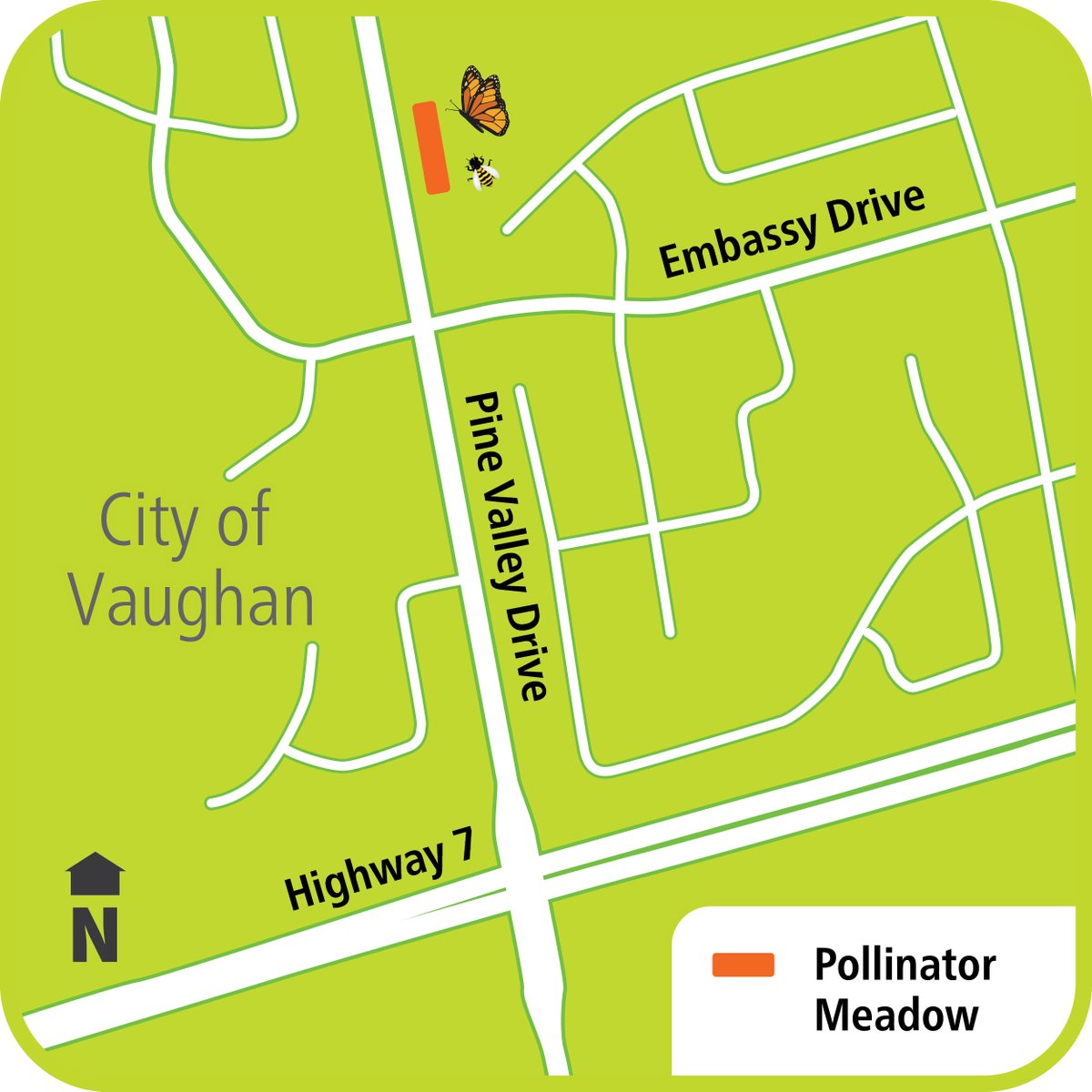 Join us Wednesday, July 12, 2023 between 9 a.m. and 8 p.m. to help transform a Regionally owned grass boulevard into a pollinating bee and butterfly meadow in the <a href="/City_of_Vaughan/">City of Vaughan</a>. Education, planting tools and plants will be provided.

For more, visit york.ca/ProjectPollina…