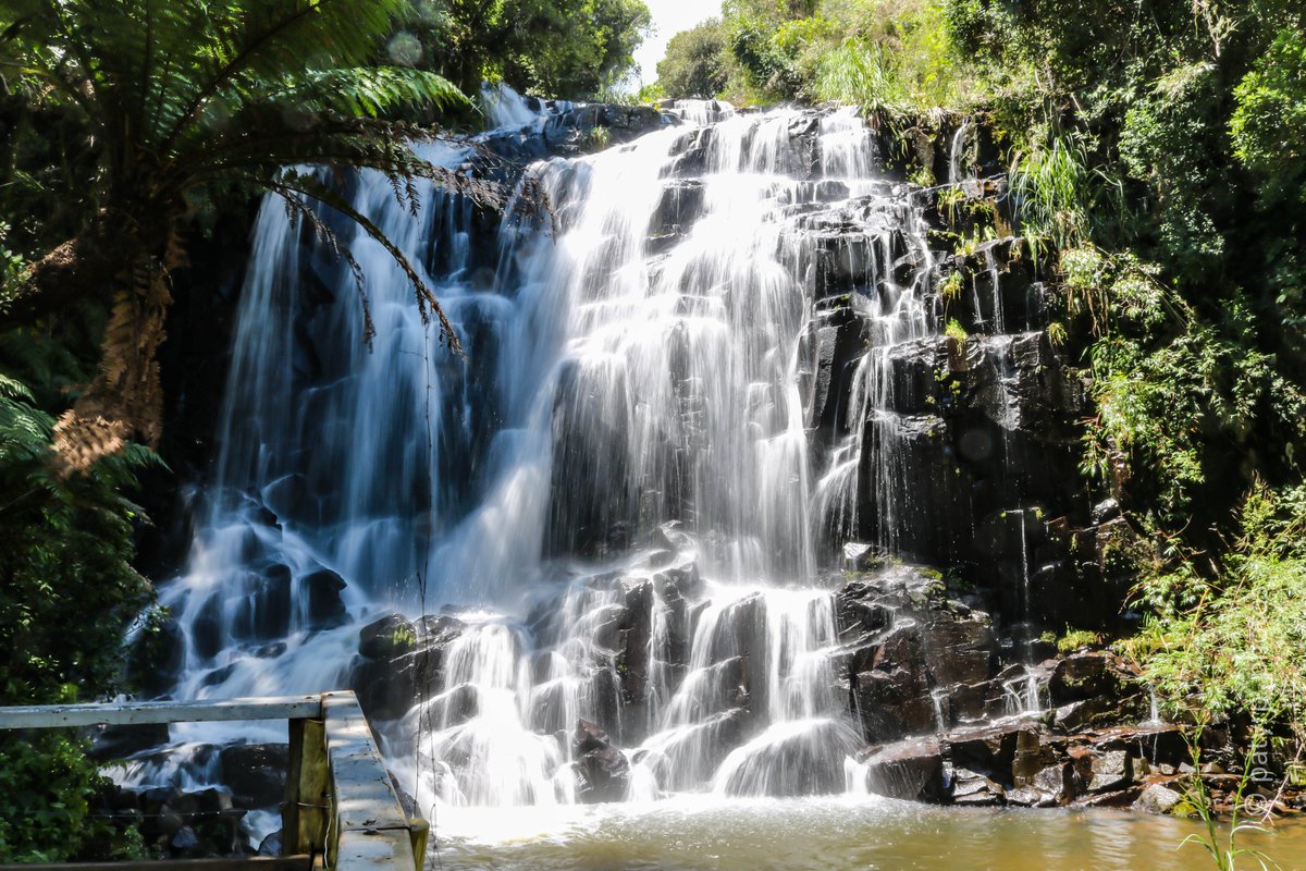 patysrp's tweet photo. Véu de Noiva - Cachoeira dos Namorados, Urubici - SC

#trip #urubici #cascataveudenoiva #cidadesbrasileiras #natgeobrasil #natgeotravel #canonbr #fotografia #photography #natureza #naturephotography #santacatarina #santaebelacatarina #waterfall https://t.co/fQIsOsfPJc
