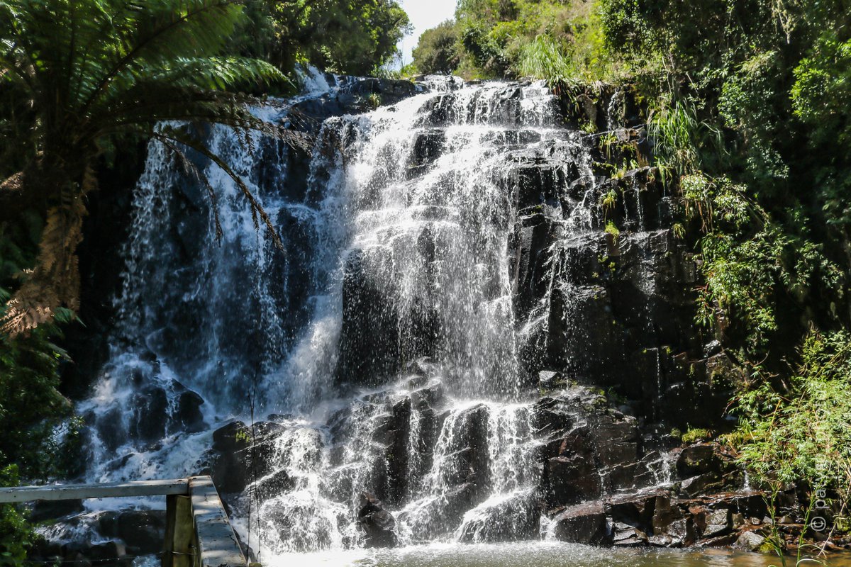 patysrp's tweet photo. Véu de Noiva - Cachoeira dos Namorados, Urubici - SC

#trip #urubici #cascataveudenoiva #cidadesbrasileiras #natgeobrasil #natgeotravel #canonbr #fotografia #photography #natureza #naturephotography #santacatarina #santaebelacatarina #waterfall https://t.co/fQIsOsfPJc