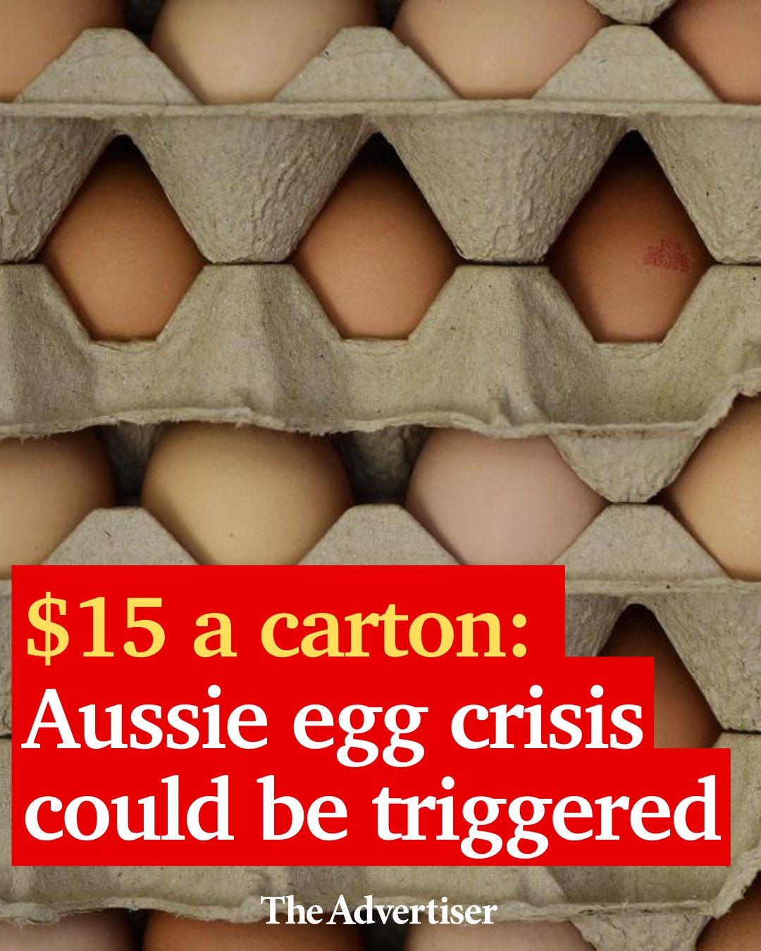 The Advertiser on Twitter "A countrywide phase out of caged eggs will