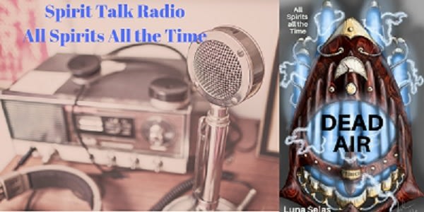 What would you talk about if you could speak with the dead? Max and Jeremy find out when they buy a mysterious antique radio. On talk show Second Chance, it's all spirits, all the time. tinyurl.com/yyv8b5tk #LGBTQ #UrbanFantasy #Supernatural #WolfPackAuthors