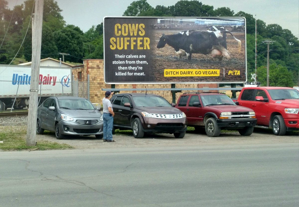 PETA tweet media