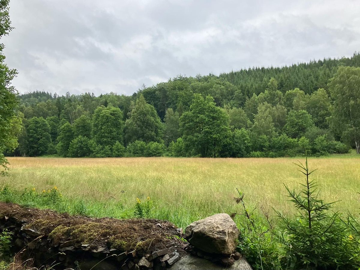 David Sandum tweet media