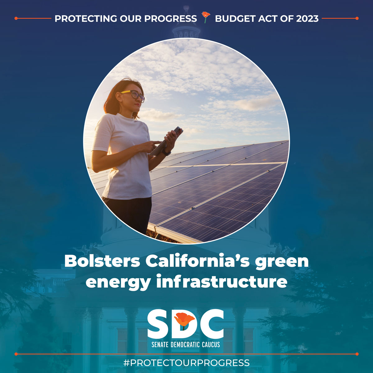 CA Senate State Budget Updates tweet media