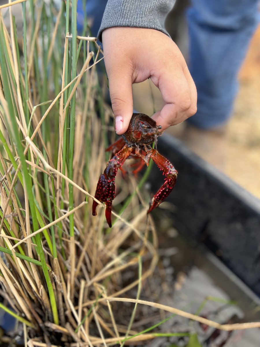 VUSD Expanded Learning tweet media