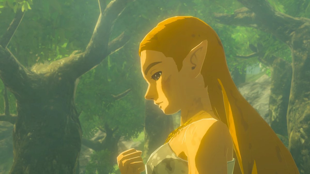 TheDevMehta's tweet photo. #BreathoftheWild #NintendoSwitch https://t.co/Da0JmsE7gj