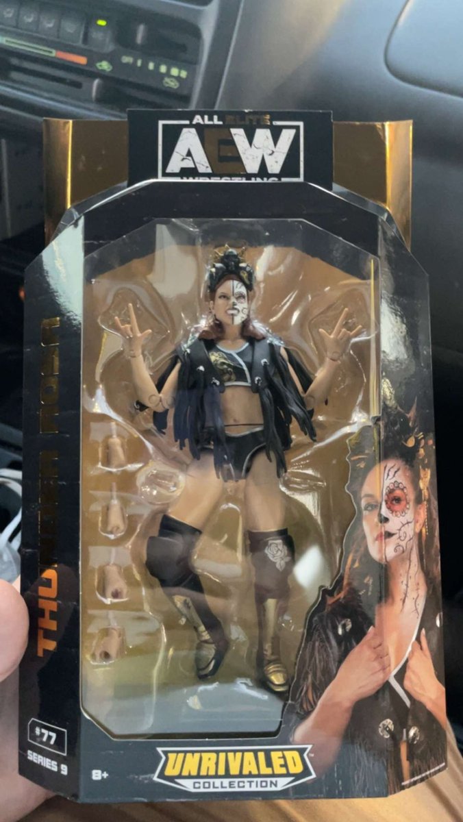 KevinMichaelPR's tweet photo. Got this awesome figure today! @thunderrosa22 la mera mera ⚡️🌹 ❤️ #aew #thunderrosa https://t.co/15319jzBU5