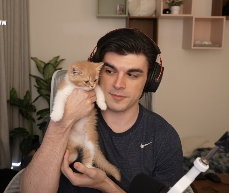 llintty's tweet photo. that is the cutest thing i’ve ever seen https://t.co/U7rhXOLy1f